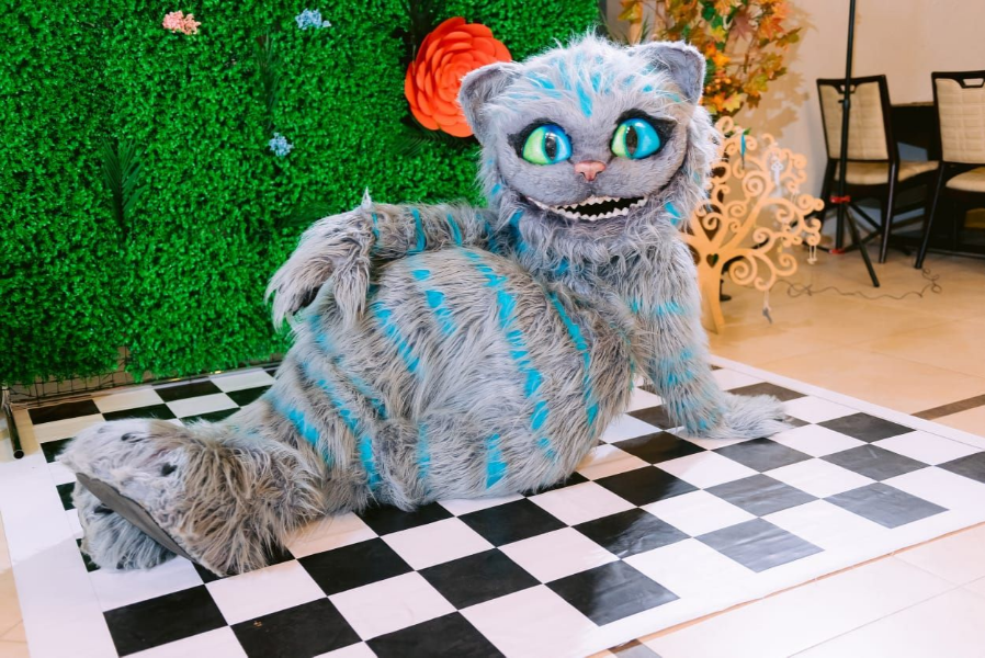 Аниматор Чешир на детский праздник в Пятигорске, Ессентуках, Минеральных Водах