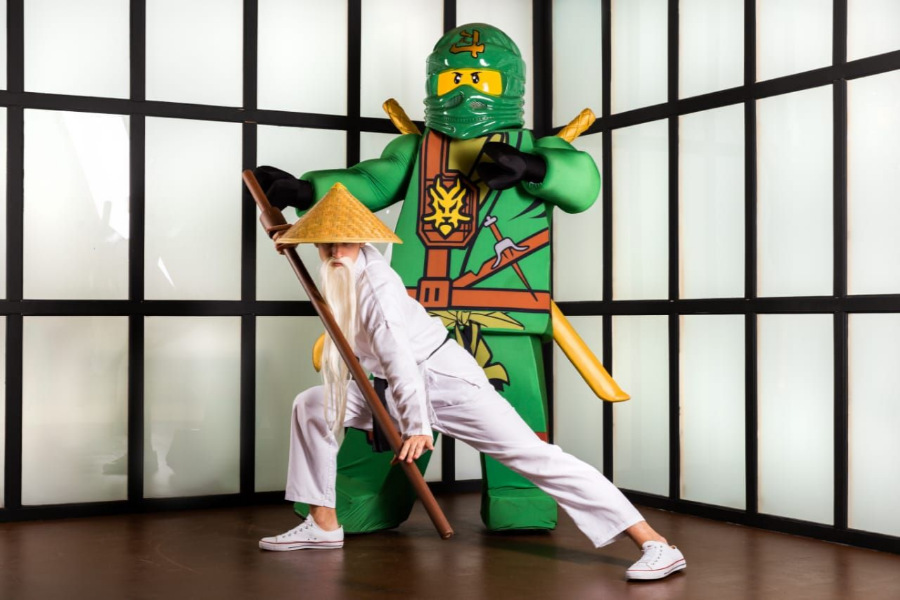 Аниматор Лего Ниндзяго на детский праздник в Пятигорске, Ессентуках, Минеральных Водах