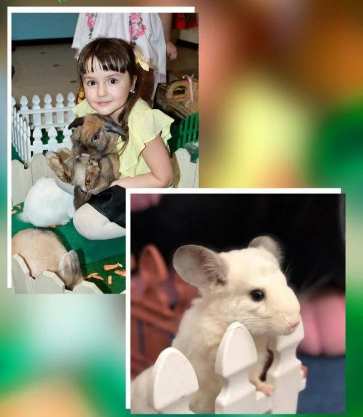 Аниматор Мини зоопарк на детский праздник в Пятигорске, Ессентуках, Минеральных Водах